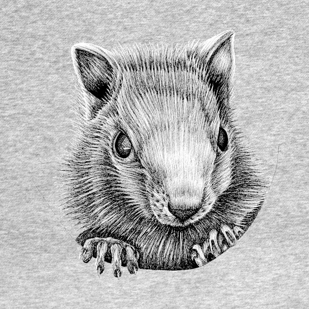 White chipmunk illustration by lorendowding